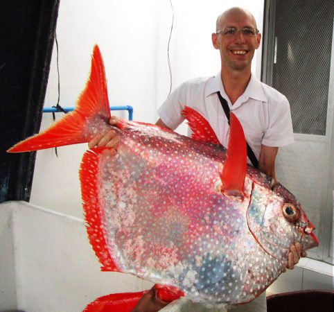 Breeding Tuna In The Philippines - Orange Magazine