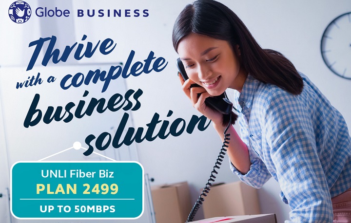 globe fiber optic business plan