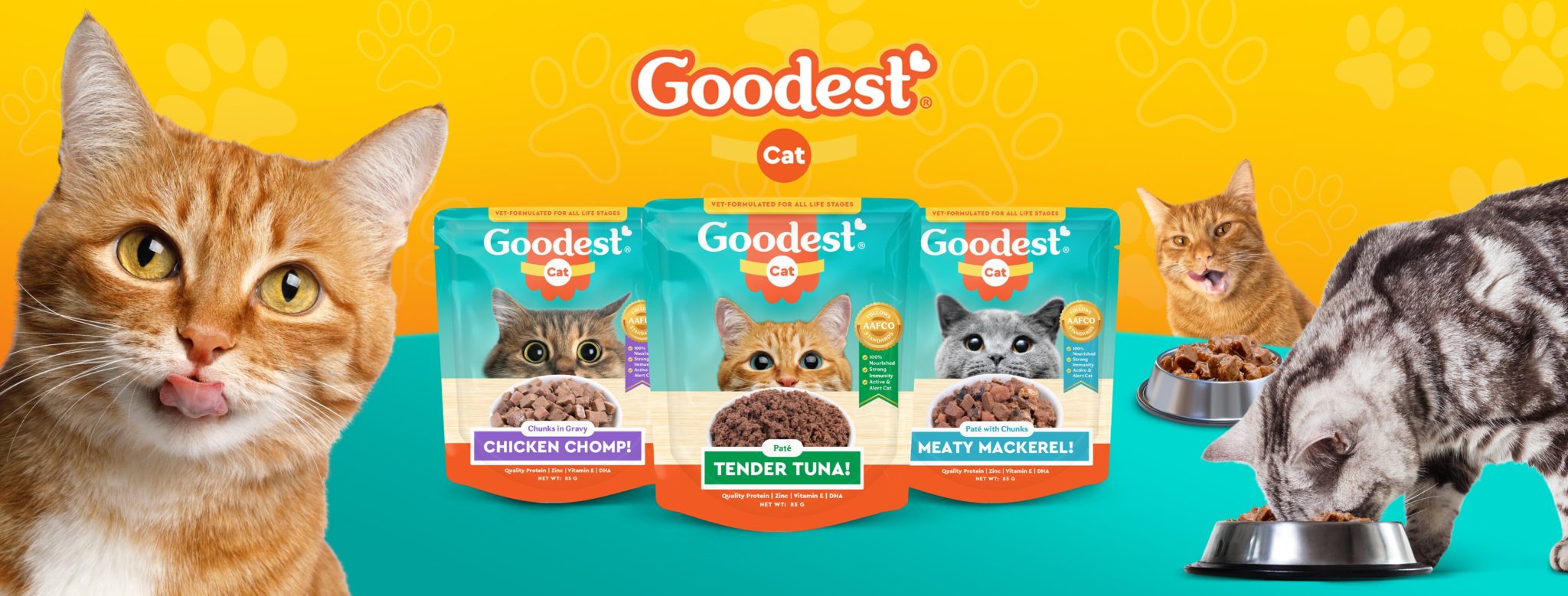 goodest-cat-food-will-leave-your-cat-meowing-for-more-orange-magazine