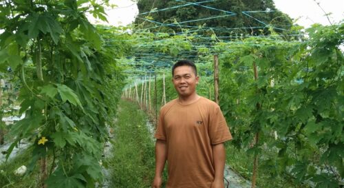 Lamac, Cebu Farmer Albencencio Regodos, Jr.